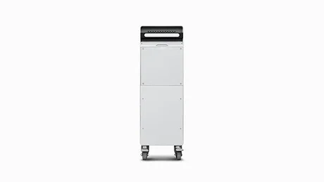 Raise3D Build Unit 220